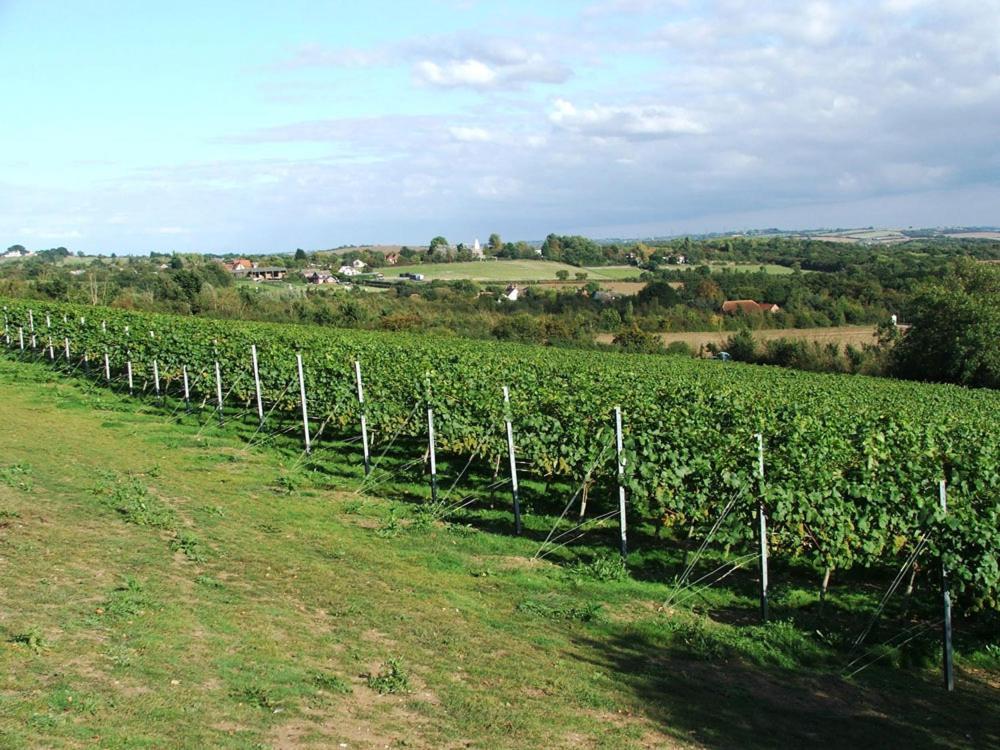 The Prince Of Wales Purleigh ภายนอก รูปภาพ